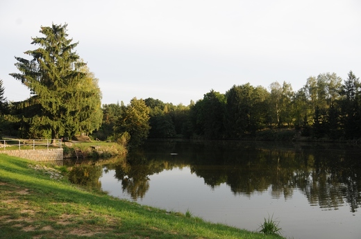 Rybník 2.jpg