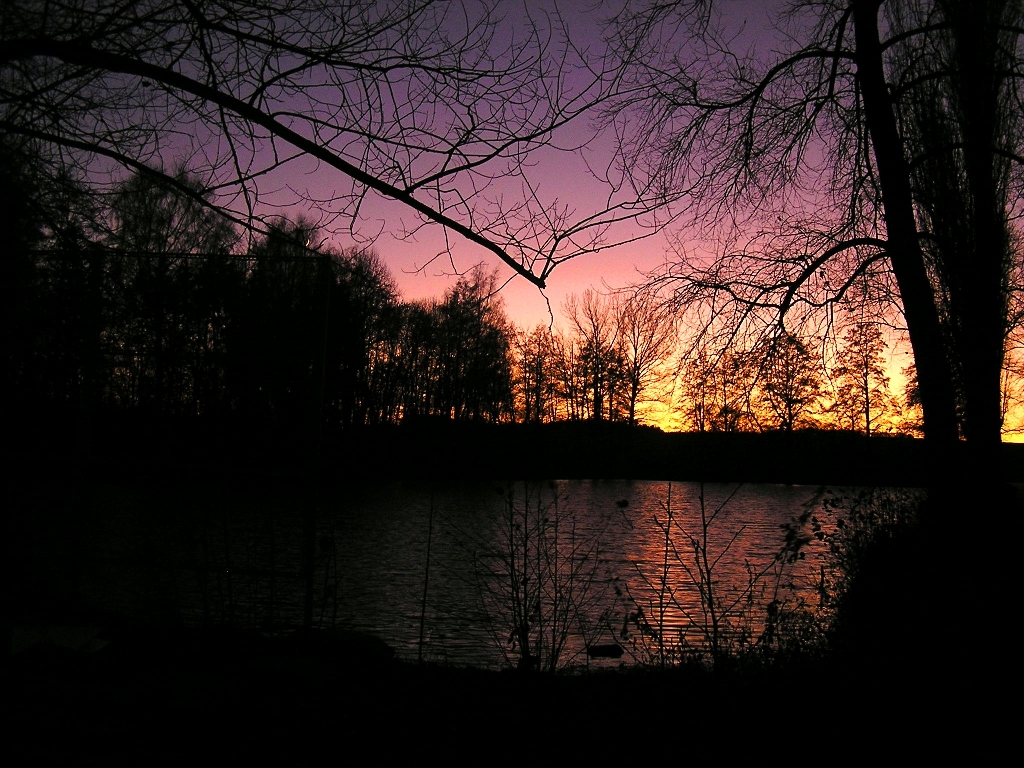 Rybník